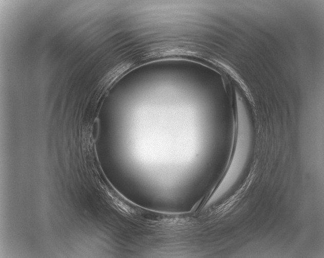 X0000056330793200509232011