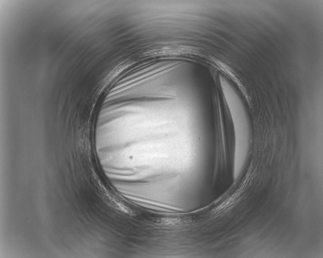 X0000056330794200509232011