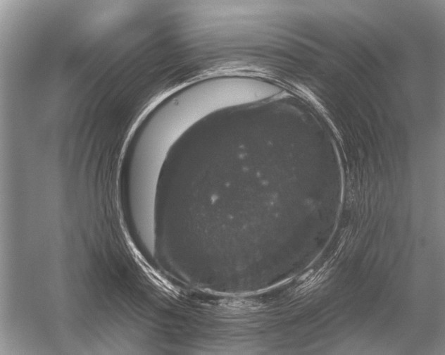 X0000056330795200509232011