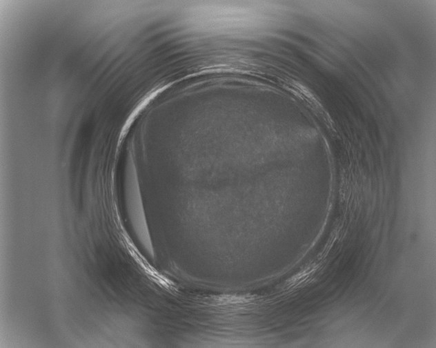 X0000056330796200509232011