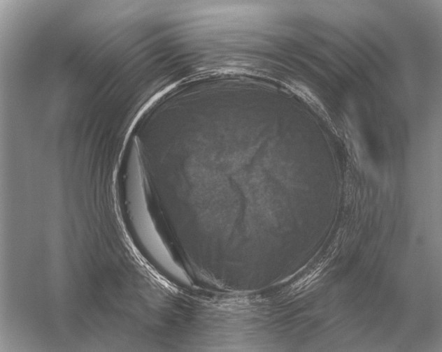 X0000056330798200509232011