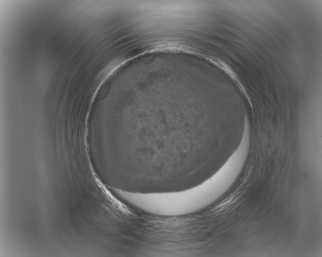 X0000056330799200509232011