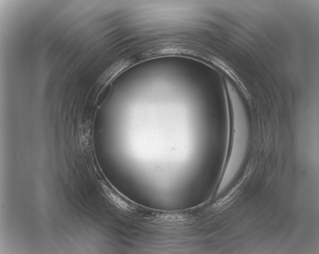 X0000056330801200509232011