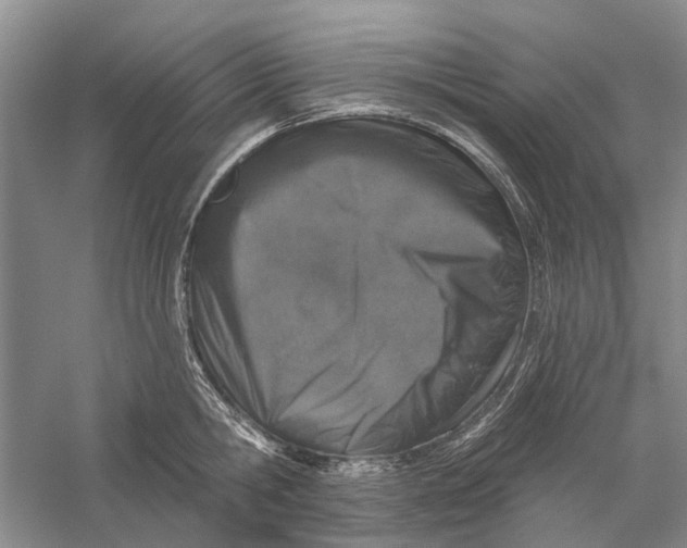 X0000056330806200509232011