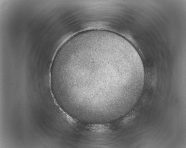 X0000056330807200509232011