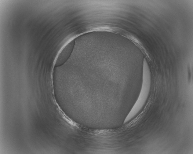 X0000056330808200509232011