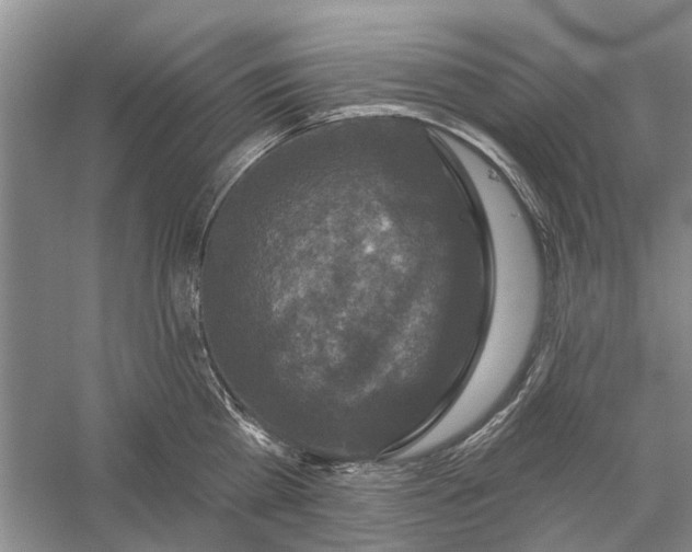 X0000056330809200509232011