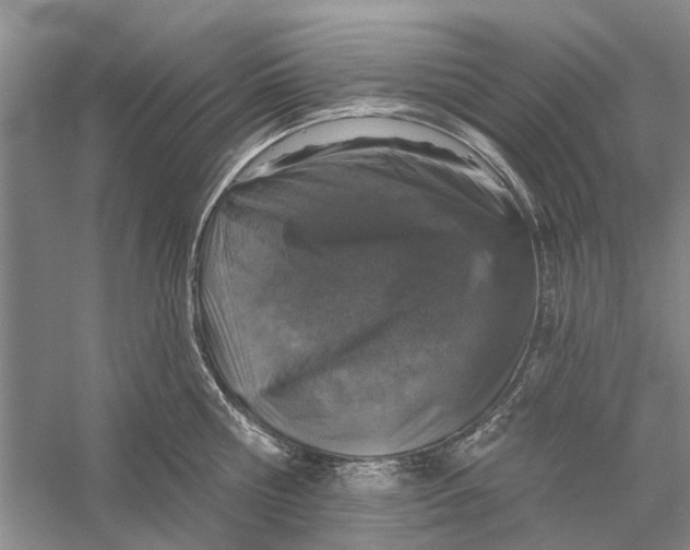 X0000056330810200509232011