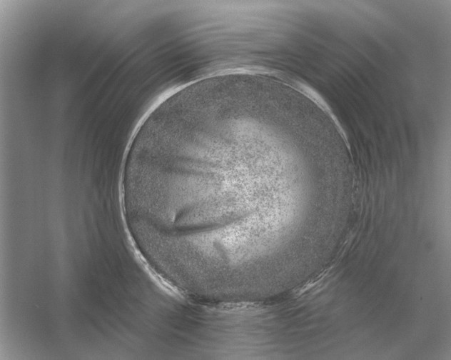 X0000056330811200509232011