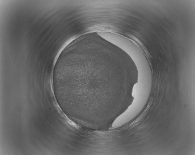 X0000056330812200509232011