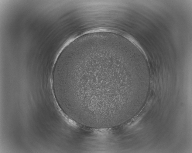 X0000056330813200509232011