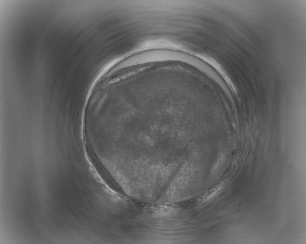 X0000056330815200509232011