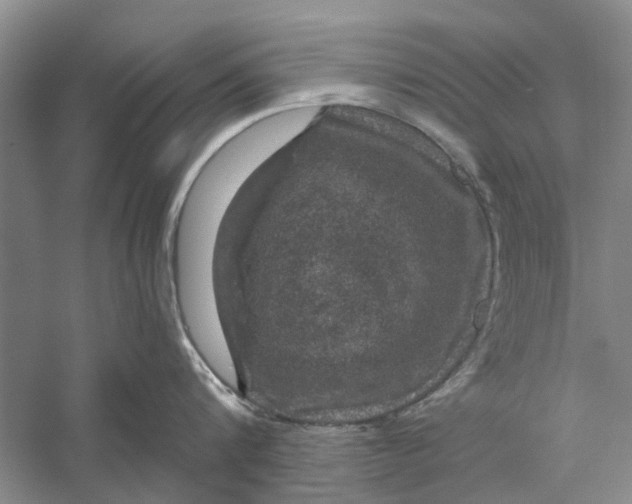 X0000056330816200509232011