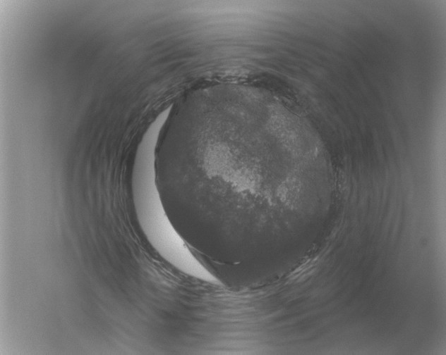 X0000056330818200509232010