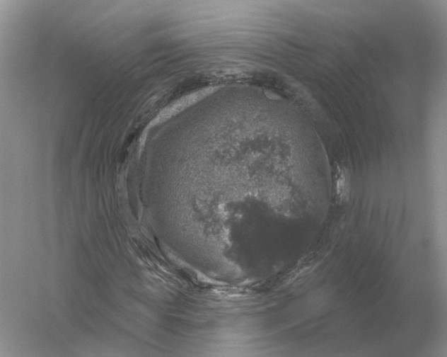 X0000056330819200509232010