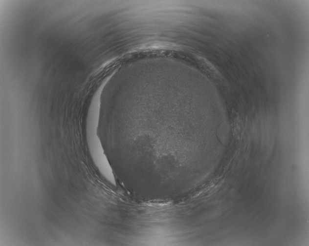 X0000056330821200509232010