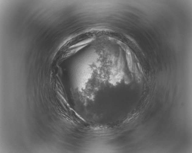 X0000056330823200509232010