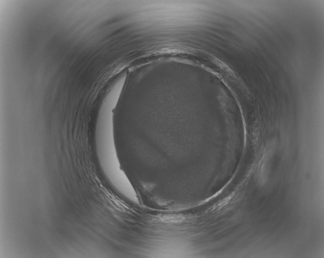 X0000056330825200509232010