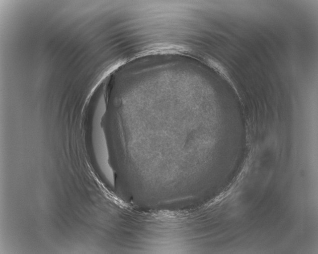 X0000056330827200509232010