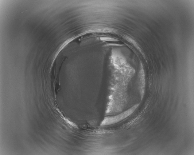 X0000056330829200509232010