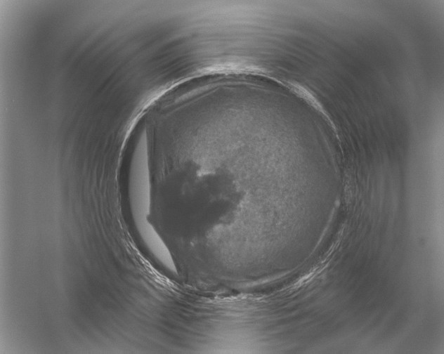 X0000056330831200509232010