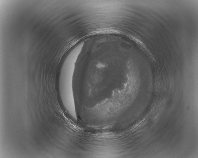 X0000056330833200509232010