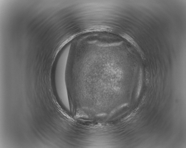 X0000056330834200509232010