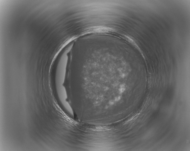 X0000056330835200509232010