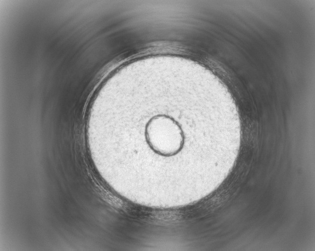 X0000056330836200509232010