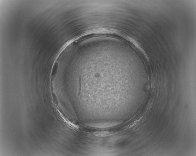 X0000056330837200509232010