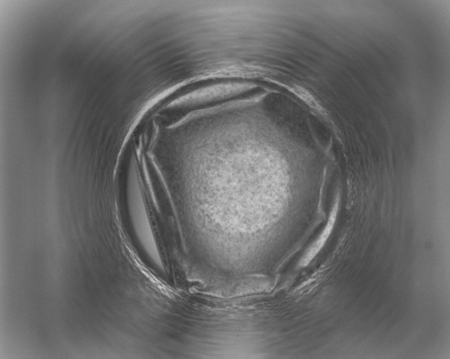 X0000056330838200509232010