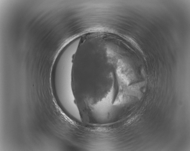 X0000056330839200509232011