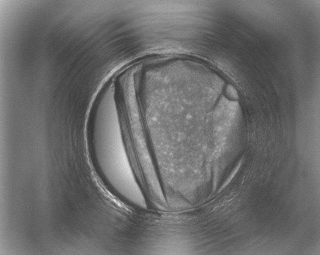 X0000056330840200509232011