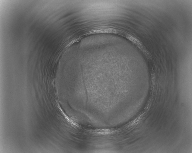 X0000056330841200509232011