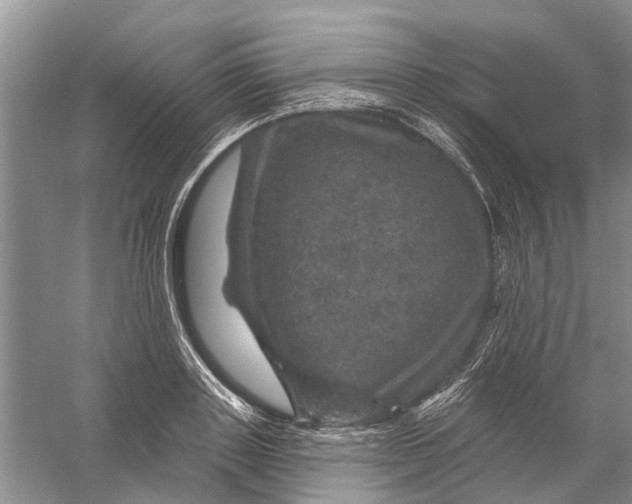 X0000056330843200509232011