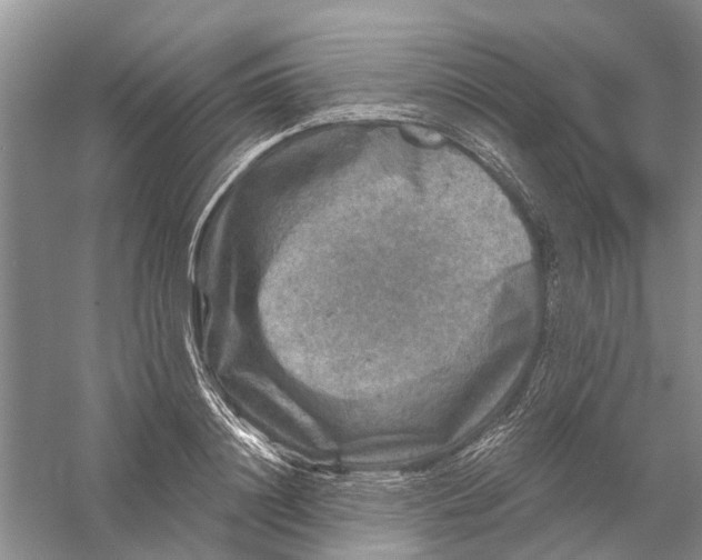 X0000056330844200509232011