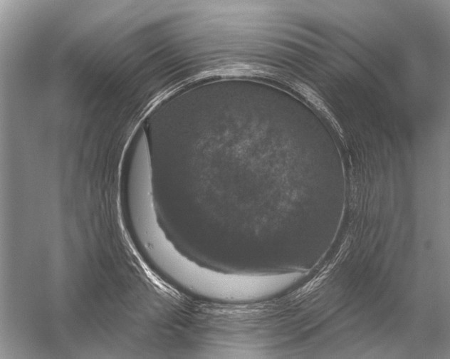 X0000056330845200509232011