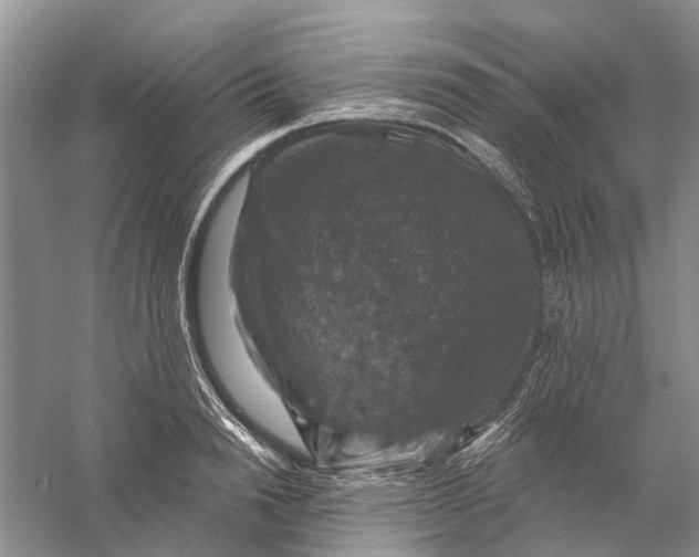 X0000056330846200509232011