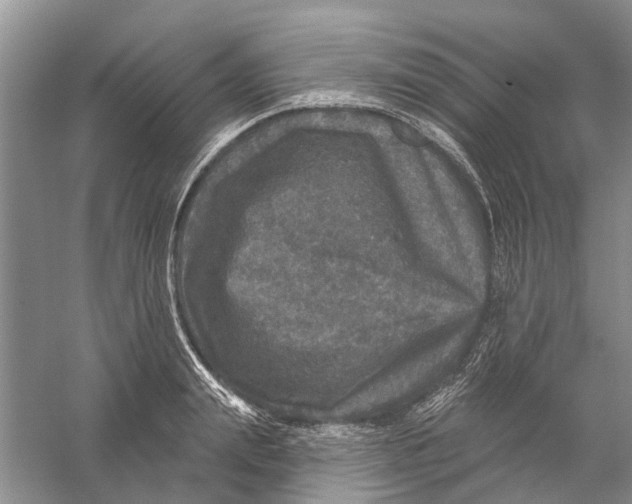 X0000056330847200509232011