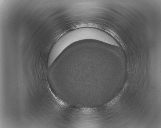 X0000056330849200509232011