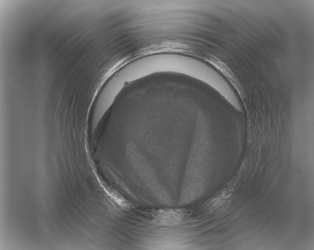 X0000056330850200509232011