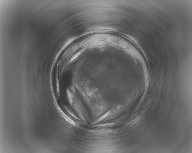 X0000056330851200509232011