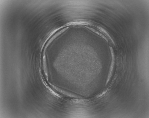 X0000056330852200509232011