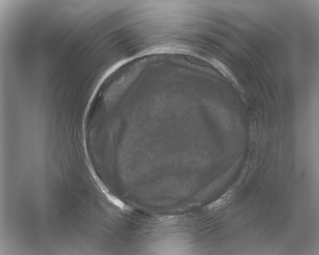 X0000056330854200509232011