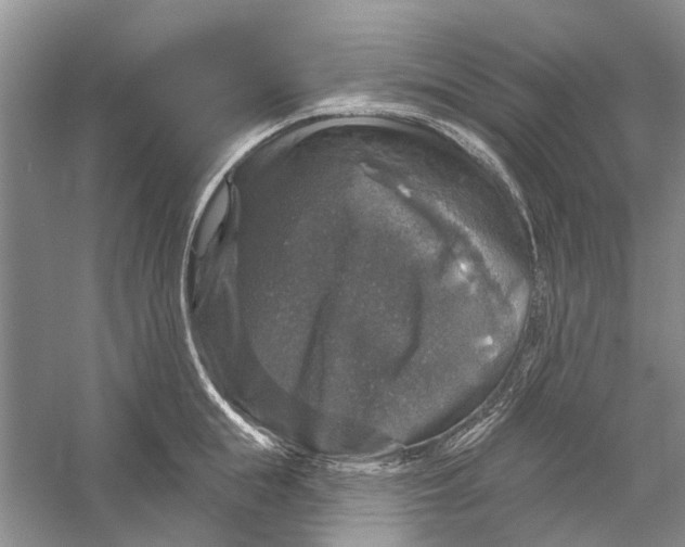 X0000056330855200509232011