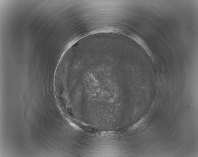 X0000056330858200509232011