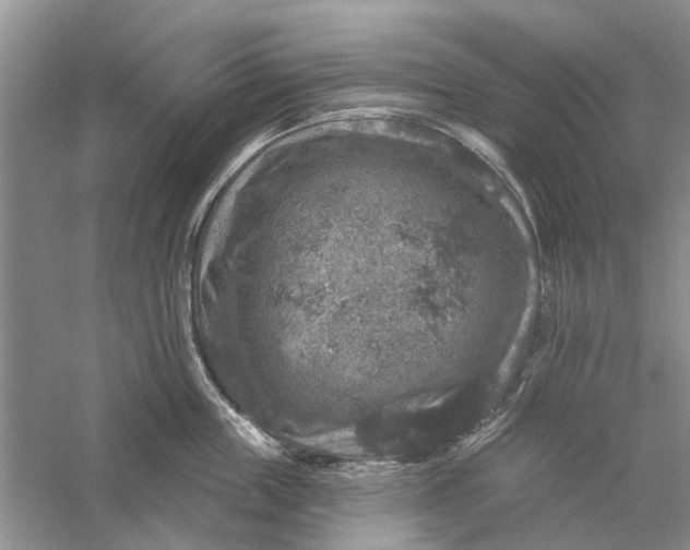 X0000056330859200509232011