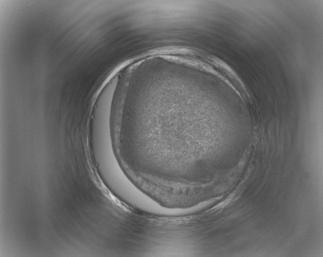 X0000056330860200509232011