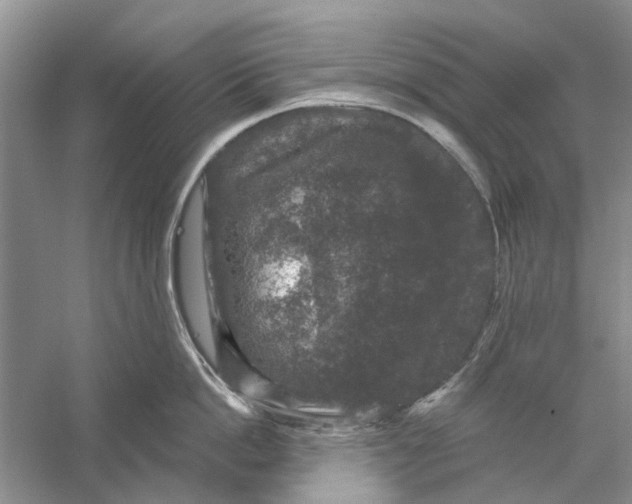 X0000056330862200509232011