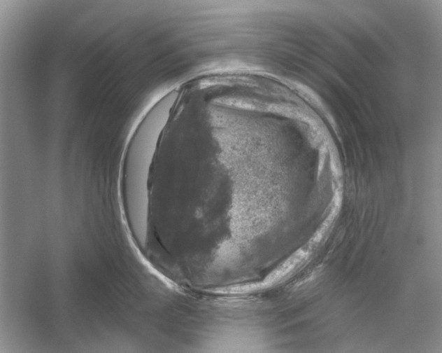 X0000056330863200509232011